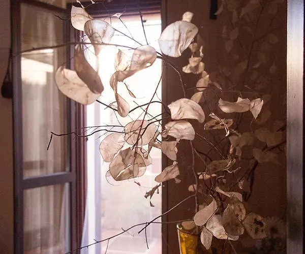 La Casa Degli Archi Pesaro